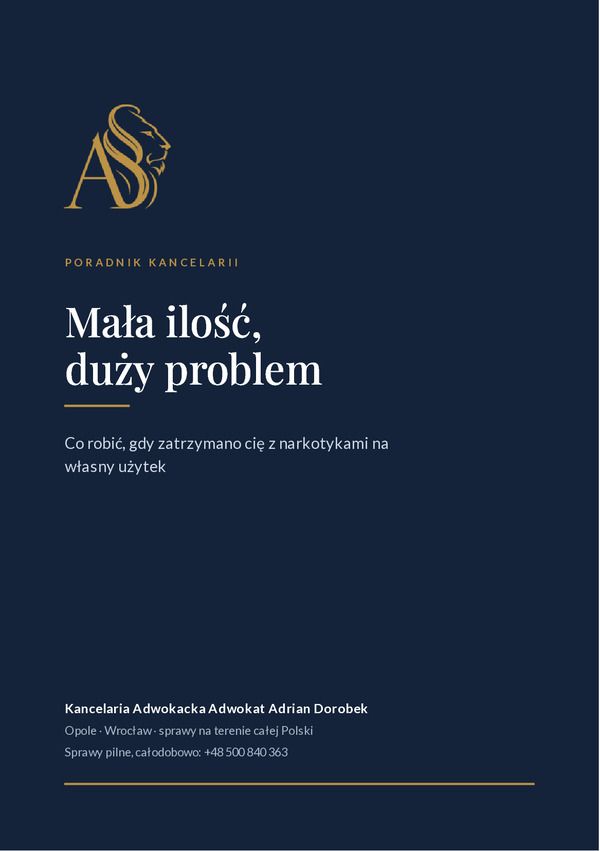 Okładka poradnika Mała ilość, duży problem
